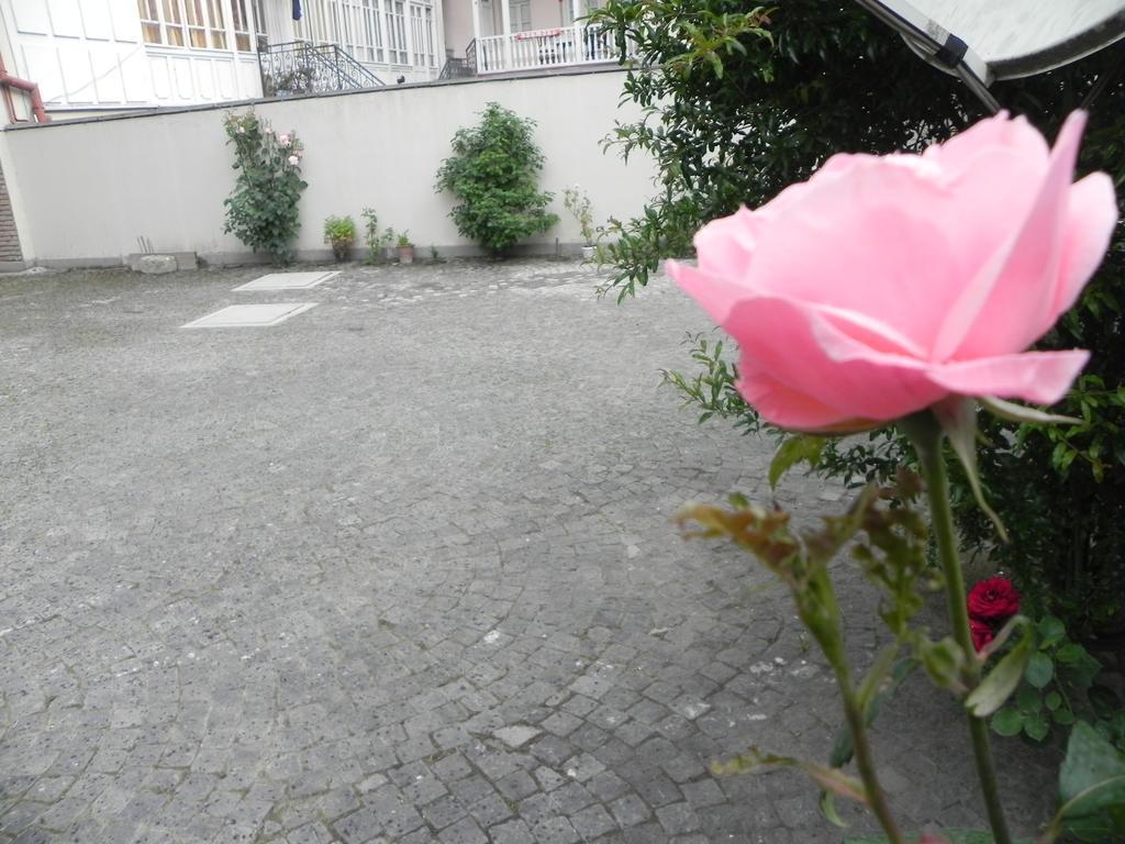 Old Yard Guest House 第比利斯 外观 照片